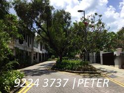 111 Emerald Hill (D9), Apartment #127347482